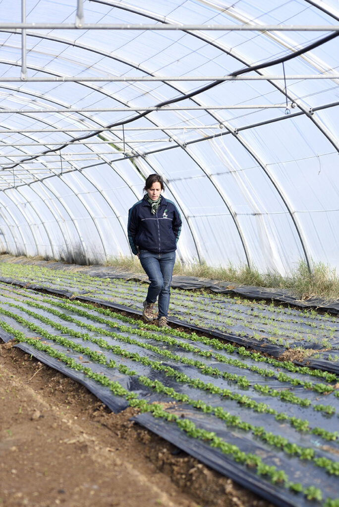 reportage . Les jardins de Cidamos